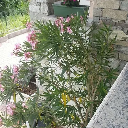 Appartamento House Curti *