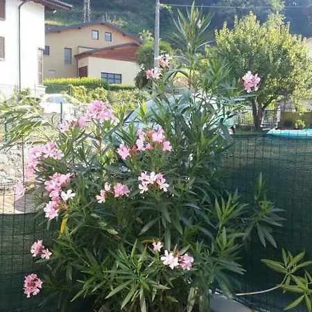 House Curti Apartmán *